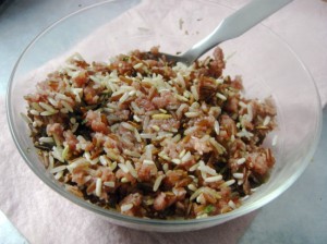 Dolma1
