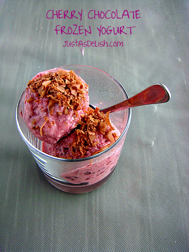 CherryChocolateFrozenYogurt9