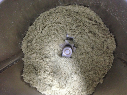 Sprouted Pumpkin Seed Butter