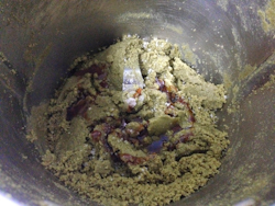 Sprouted Pumpkin Seed Butter