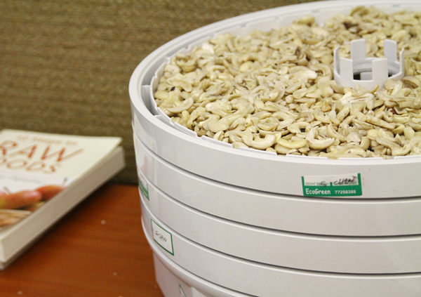 Dehydrating cashews