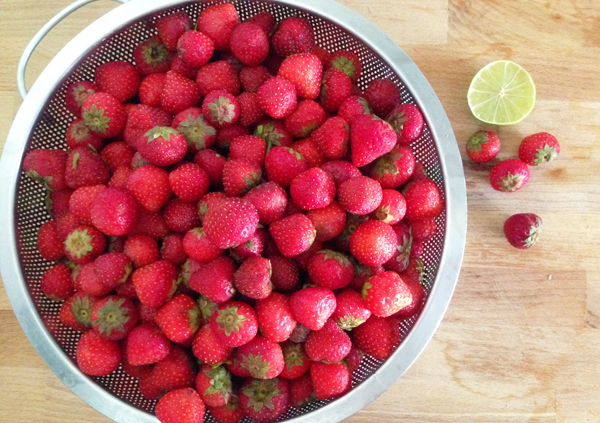 Holland Strawberries