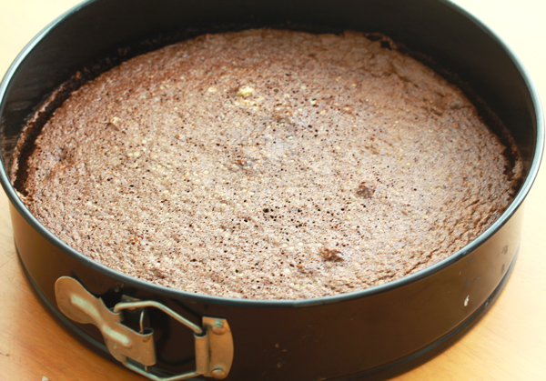 Flourless Chocolate Cake (Gluten, Grain, Nut & Dairy Free)